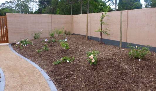 Rammed earth garden wall, first plantings